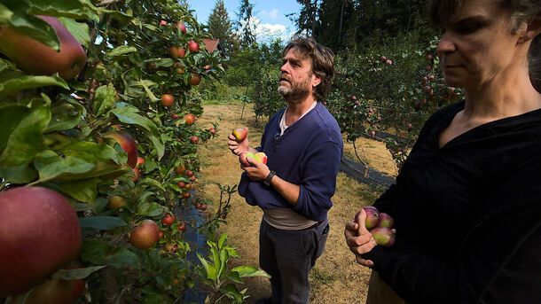 This 100%-Rated Docuseries From Zach Galifianakis Is the Ultimate Feel-Good Show You Can't Miss - image 2