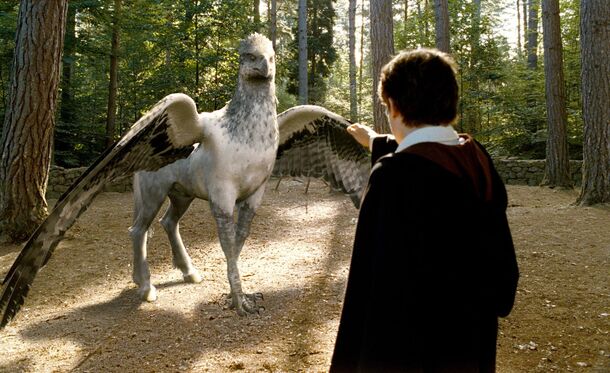 Harry Potter Pets, Ranked From Cute To 'We Want That One' - image 2