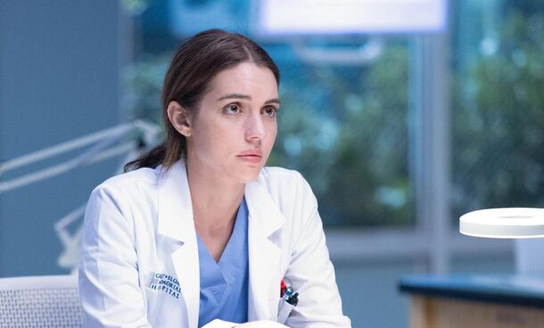Grey's Anatomy New Interns Ranked From Most To Least Promising - image 3