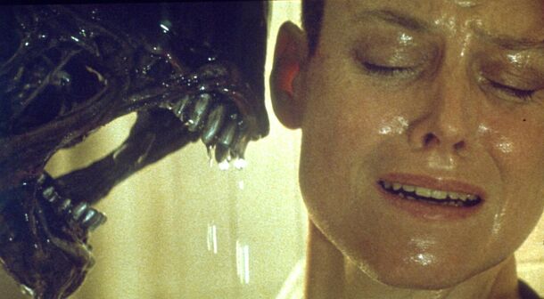 These 7 Movies Were So Bad They Were Disowned by Their Directors - image 3