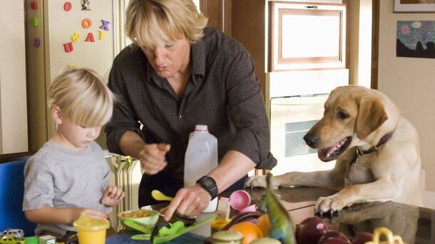 Top 10 Movies Where the Dog Should Have Won an Oscar - image 9