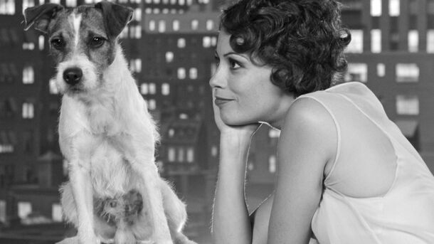 Top 10 Movies Where the Dog Should Have Won an Oscar - image 10