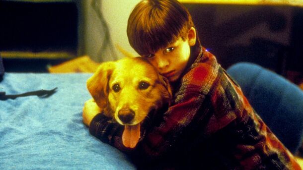 Top 10 Movies Where the Dog Should Have Won an Oscar - image 7