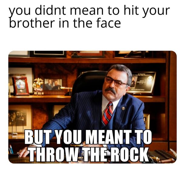 7 Memes Only True Blue Bloods Fans Will Understand - image 4