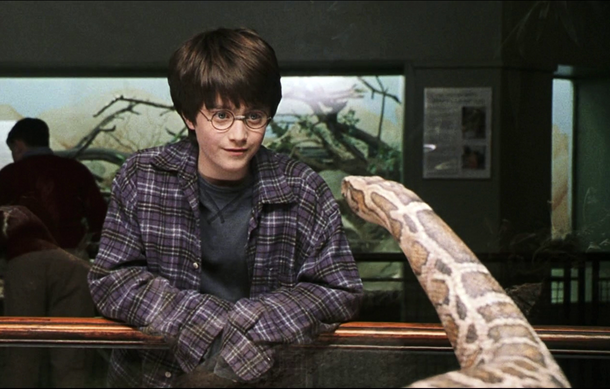 Harry Potter's Most Unique Stolen Ability Didn't Do Jack for Him - image 2