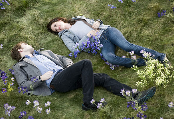 The Unconventional Rehearsal That Helped Shape 'Twilight’s Romantic Chemistry: Director's Unexpected Move Unveiled - image 1