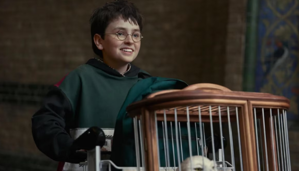 Stop Hating HBO's 'Harry Potter': This Show Is Exactly What We Deserve, and Here's Why - image 2