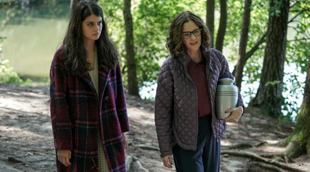If You Loved 'Shameless', You'll Binge These 8 Dysfunctional Family Dramas, Ranked by IMDb - image 2