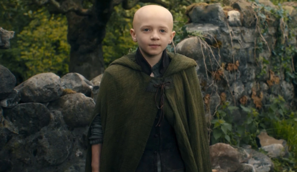 'A Knight of the Seven Kingdoms': What Will Season 2 Be About & How Many More Seasons Will There Be? - image 1