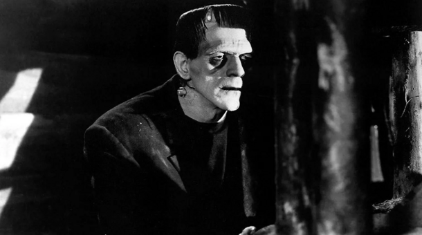 5 Best 'Frankenstein' Adaptations to Watch Before Guillermo del Toro's Movie, Ranked by IMDb - image 3