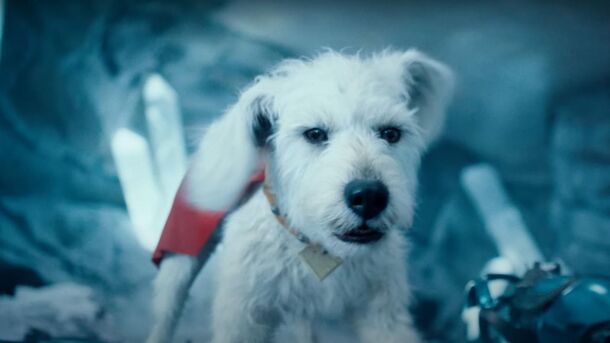 10 ‘Superman’ Easter Eggs You Might Have Missed - image 2