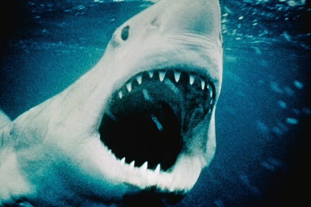 Wait, Do You Mean 'Sinister' and 'Insidious' Are Out?! Only 2 21st-Century Horror Films Crack the Top 7 Scariest in 50 Years - image 2