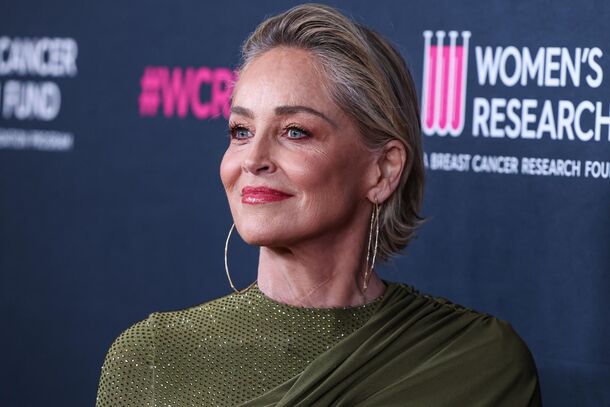 Sharon Stone Keeps a Naughty List Of All Hollywood Men Who Wronged Her - image 2