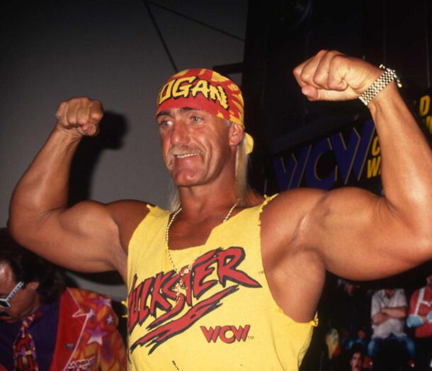 Hulk Hogan's Most Iconic Role Got Him Fired from WWE - image 1