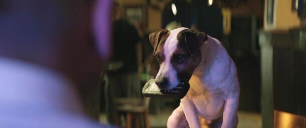 Everything You Need to Know About 'Dogman' — Streaming, Release, and More - image 1