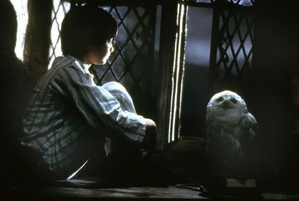 Where the Magic Began: Revisiting 'Harry Potter and the Sorcerer’s Stone' - image 1