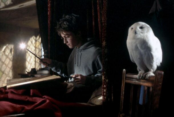 There’s a Reason 'Harry Potter' Spells Feel So Familiar — And a Fan Theory Might Explain Why - image 2
