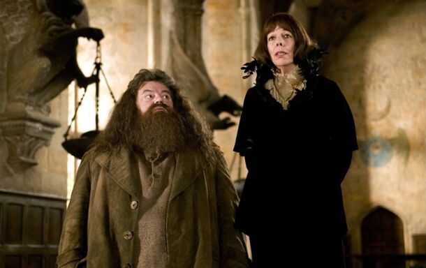Fans Split Over Nick Frost’s Hagrid Look — 'Cosplay or Close Enough?' - image 1