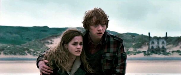 'Deathly Hallows Parts 1&2': From Release Dates to Plot Twists — Complete Guide - image 2