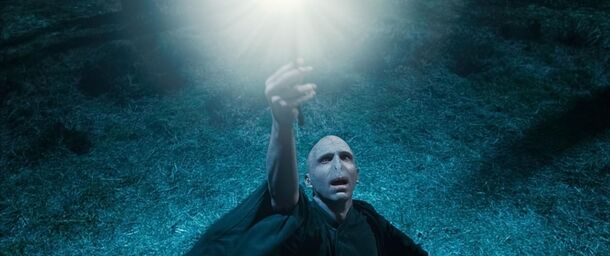 Will the New 'Harry Potter' Series Follow 'The Hobbit’s' Fate? Fans Debate Its Chances of Success or Failure - image 3