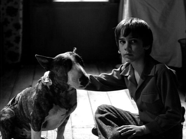 Tim Burton’s 2012 ‘Frankenweenie’ Was Inspired by His Forgotten 1984 Short Film - image 1