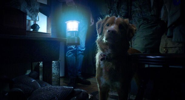 'Good Boy' Has 89% on Rotten Tomatoes, but Is It Really That Good & Worth Watching? - image 1