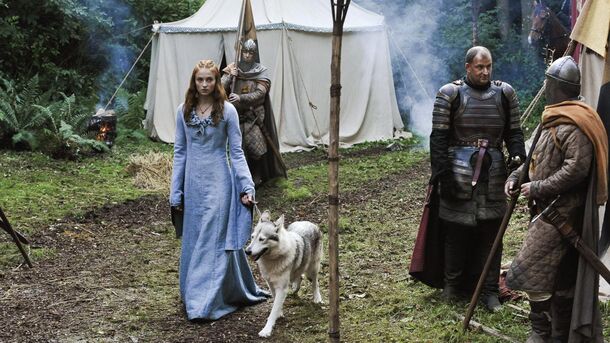 ‘Game of Thrones’ Sophie Turner Just Gave ‘Harry Potter’ Child Actors a Brutal Reality Check - image 1