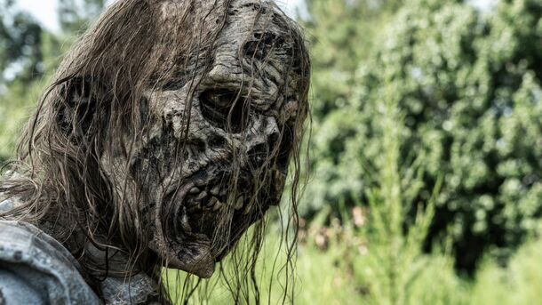 Crucial Aspect Of The Walking Dead Universe Left Hanging For No Reason - image 1