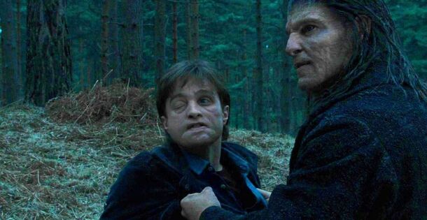 Here's Who Was the Worst Harry Potter Character, According to Reddit - image 8