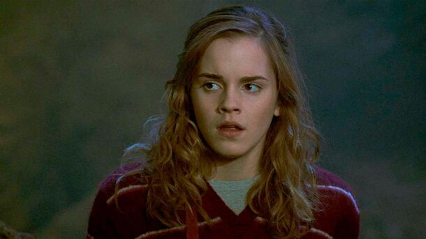 5 Times Hermione Granger Dropped the Ball and Did Something Stupid - image 3