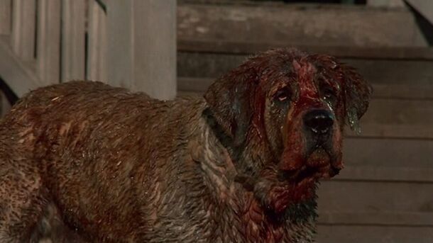5 Most Terrifying Horror Movies About Animals to Watch While Waiting for 'Good Boy' - image 5