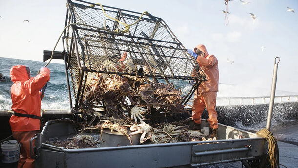 What Makes 'Deadliest Catch' the Most Thrilling Show on TV? - image 1