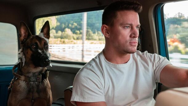 10 Best Movies About Dogs to Heal Your Soul and Heart - image 3