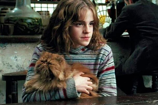 Harry Potter Pets, Ranked From Cute To 'We Want That One' - image 1