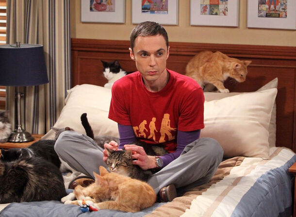 TBBT Saved Sheldon Cooper By Tossing The Whole Pilot Away - image 1