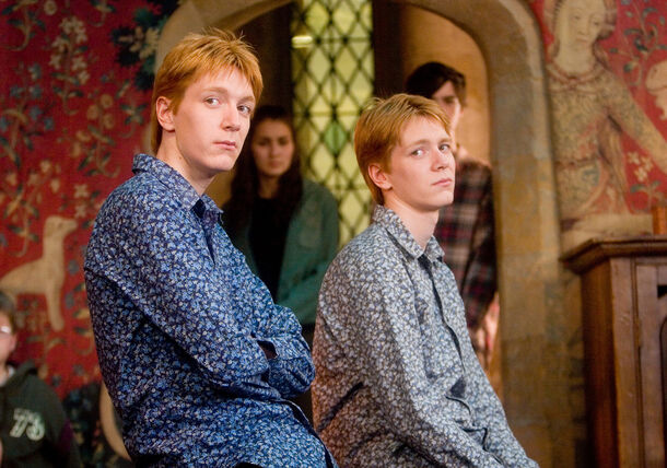 The Weasleys' Poverty Was Fake: 5 Facts Reveal the Family’s True Wealth - image 3