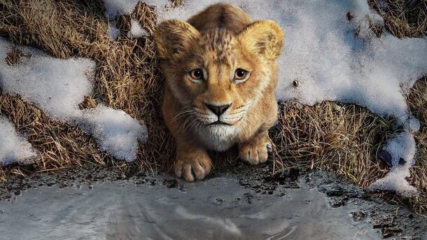 The Lion King’s $686 Million Sequel Comes to Streaming This Week - image 1