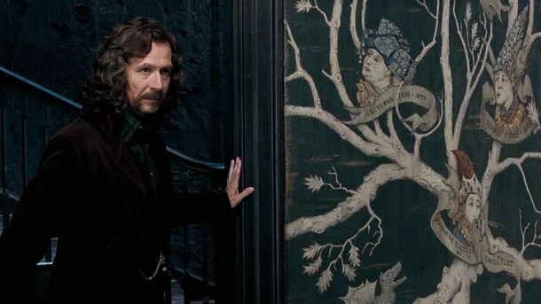 Peter Capaldi Isn't in 'Harry Potter' Yet — But He Could Be, in These 5 Roles - image 2
