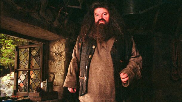 Most Ridiculed Harry Potter Line Was Never Said, So Jokes on You, Not Hagrid - image 1