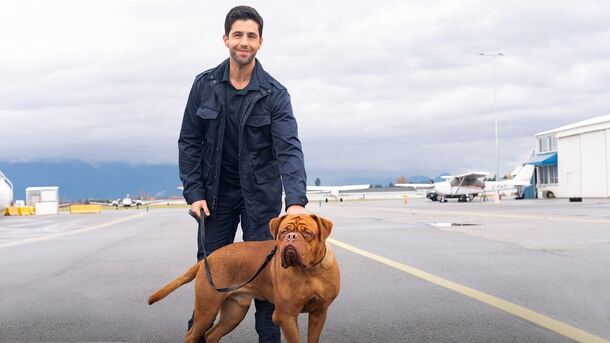 Josh Peck’s Best Movies & Shows to Watch After His The Last of Us Surprising Cameo - image 8