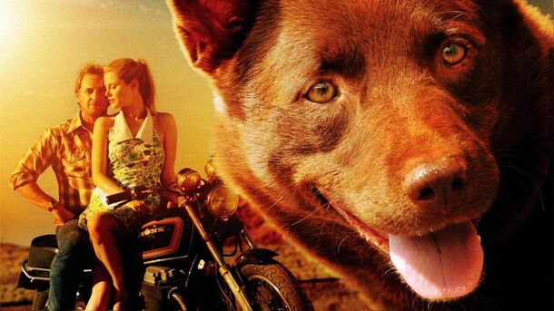 10 Best Movies About Dogs to Heal Your Soul and Heart - image 9