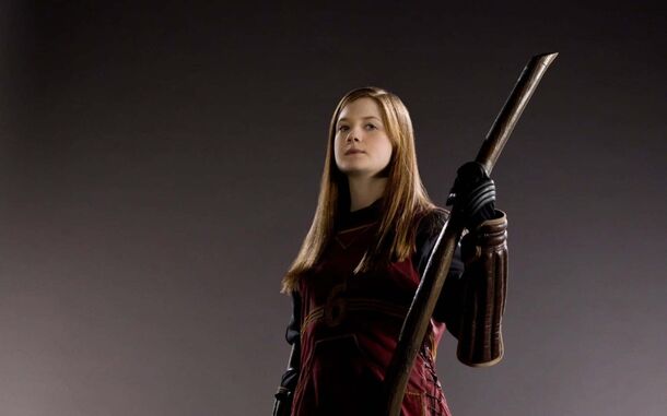 'Harry Potter' Series Must Fix One of the Most 'Mishandled' Characters in the Films: She Was a Star in the Books, but was Forgotten in the Films - image 1