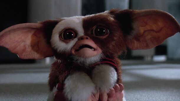 You Must Watch This 87%-Rated Cult Horror if You Have a Labubu - image 2