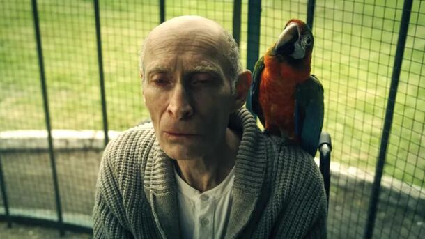 Agnes Is a True Villain & Ophelia Is a Raven: 7 Mind-Bending ‘Wednesday’ Fan Theories on Season 2 Part 2 - image 2