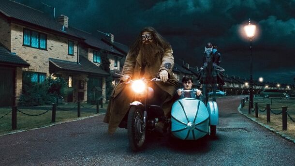 Harry Potter: This One Scene Proves Rubeus Hagrid Was An Absolute Menace - image 2