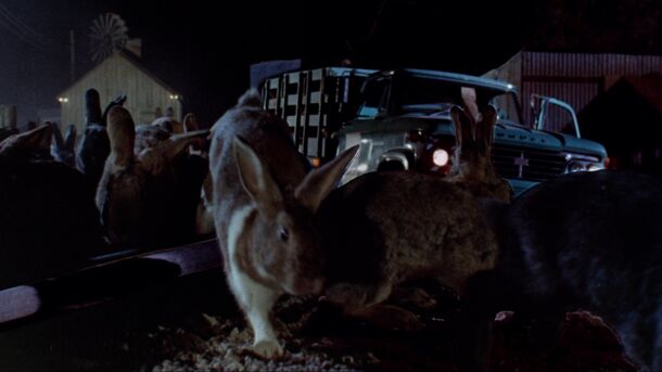 5 Most Terrifying Horror Movies About Animals to Watch While Waiting for 'Good Boy' - image 4