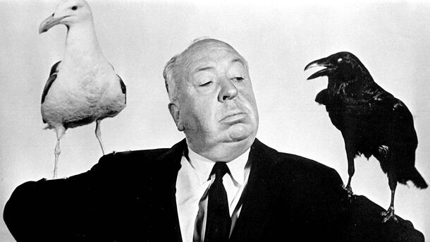 Alfred Hitchcock’s The Birds Turned Into Real-Life Nightmare For Its Main Star - image 1