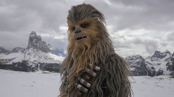 The Real Indiana: How a Loyal Dog Shaped Iconic 'Star Wars' and 'Indiana Jones' Characters - image 1