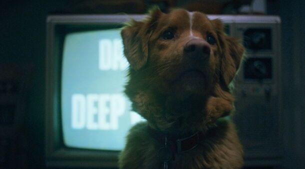 'Good Boy' Has 89% on Rotten Tomatoes, but Is It Really That Good & Worth Watching? - image 2