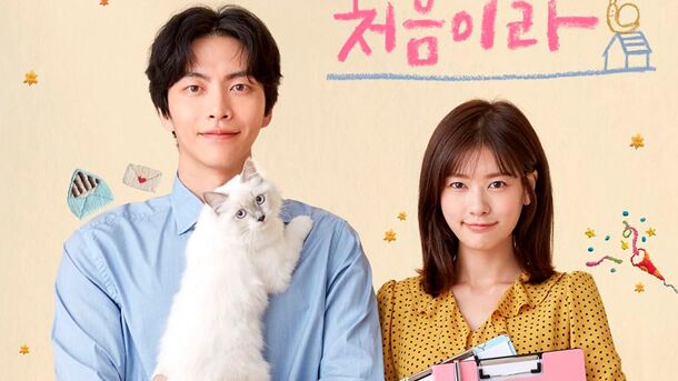 5 Perfect 'Fake Marriage' K-Dramas If You Are Sick of Other Clichés - image 1